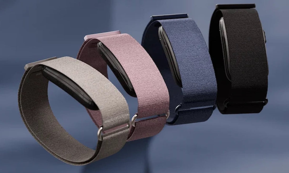 garmin-cirqa-vs-fitbit-air