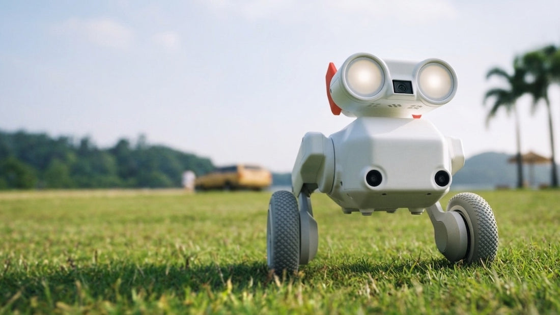 mondo-robotics-beni-camera-robot